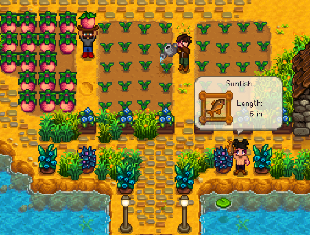 Stardew Valley – Cooperative Division of Labor Compounded by External Factors